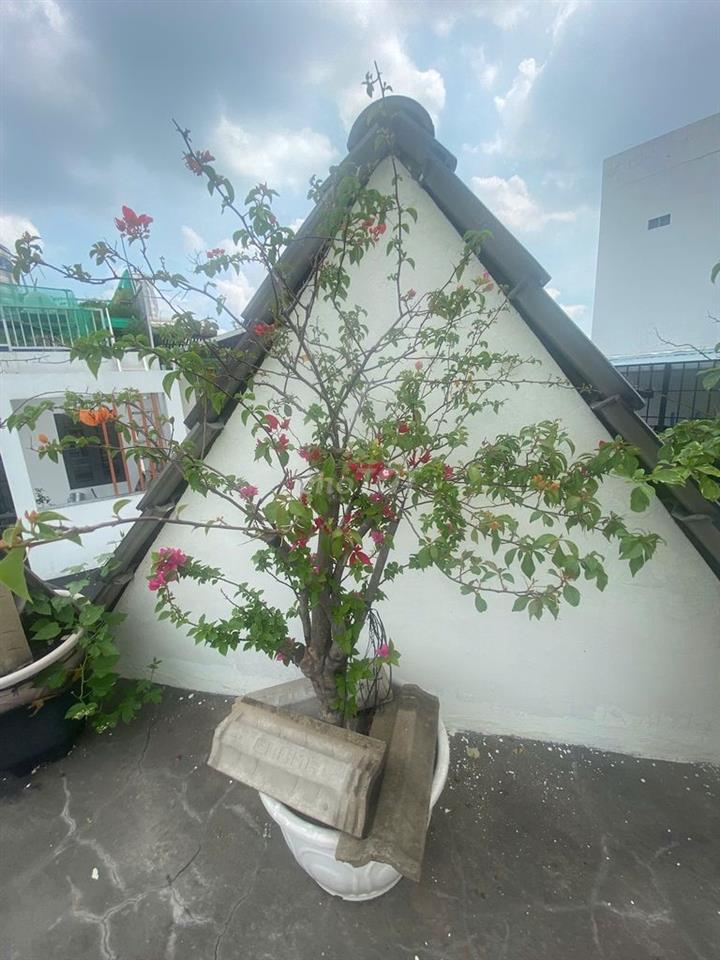 cần bán nhà gò vấp 