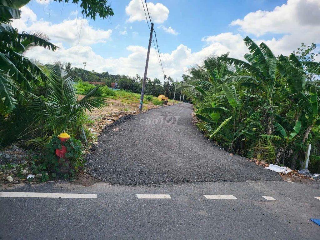Đất ngay mặt tiền vào, đường xe contener, Nhị Bình 3, Hóc Môn