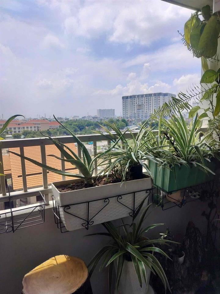 🏦 Căn góc Tầng 6 Chung cư An Hội 3 P14