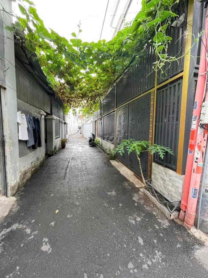 Cho Thuê Nhà Nguyên Căn Gò Vấp