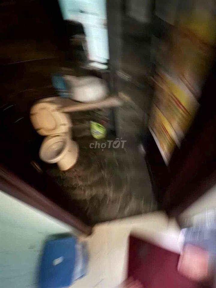 Cho Thuê Nhà Nguyên Căn Gò Vấp