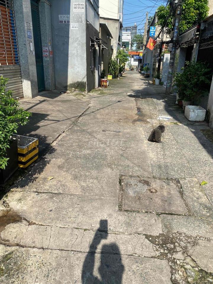 cho thuê nhà 4 x 20. nợ hậu 8m đường Quang trung