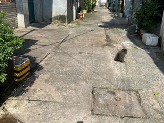 cho thuê nhà 4 x 20. nợ hậu 8m đường Quang trung