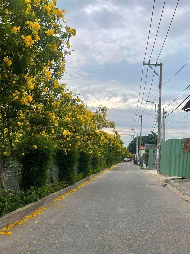5x18m trệt lầu 2pn full Nội thất TL37 hẻm ô tô gần trường cấp 1,2,3