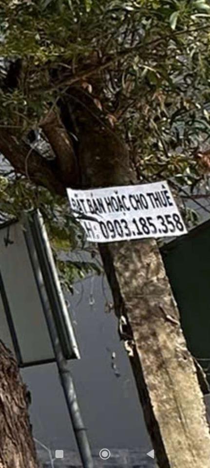 cần bán lô đất ấp sớm mới, xã thanh phước gò dầu Tây Ninh 