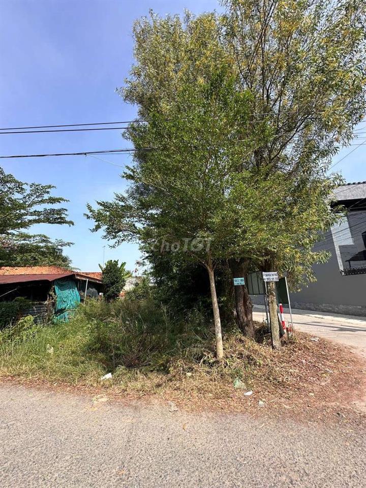 cần bán lô đất ấp sớm mới, xã thanh phước gò dầu Tây Ninh 