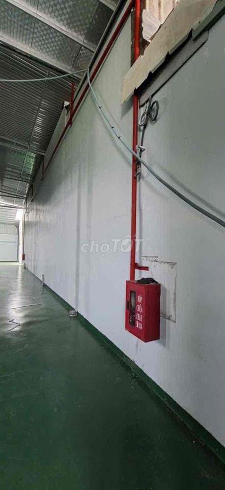 CHO THUÊ XƯỞNG TÂN HIỆP HÓC MÔN GIÁ TỐT