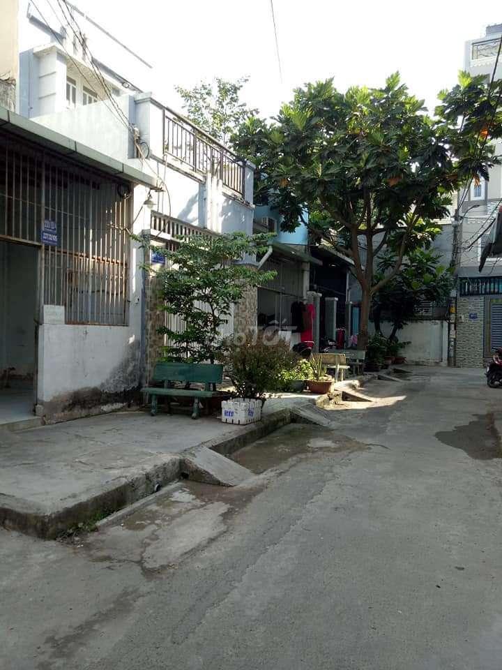 nhà cho thuê