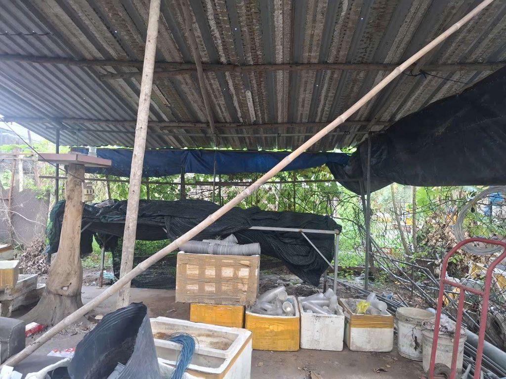 cho thue nha vuon 600m thanh xuan 14