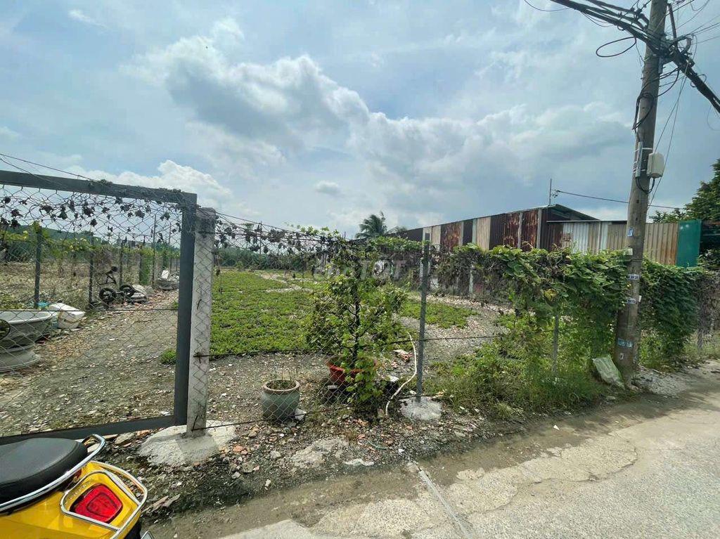 cho thue 1100m dat nong nghiep thanh xuan