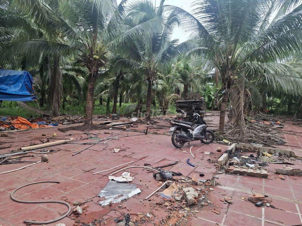 cho thue vuon dua 6000m thanh xuan 33