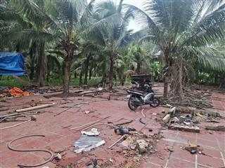 cho thue vuon dua 6000m thanh xuan 33