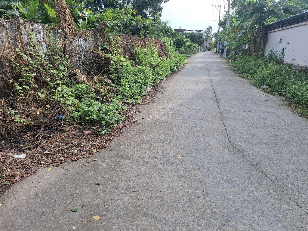 cho thue kho xuong 1000m nhi binh