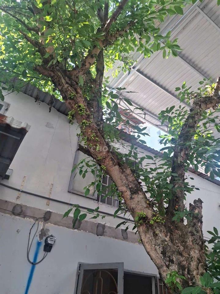 cho thue nha thanh xuan 14