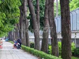 cho thuê kho hoặc văn phòng ngang 9m mặt tiền Quang Trung giá 5tr