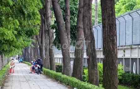 Cho thuê nhà mặt tiền đường Quang Trung