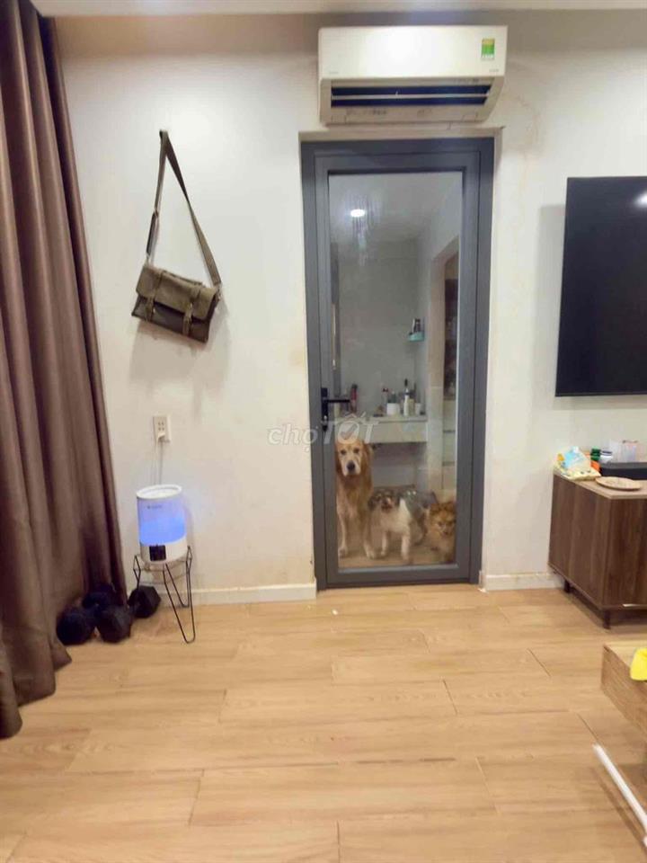 villa mini 100m2 , mặt tiền thụt
