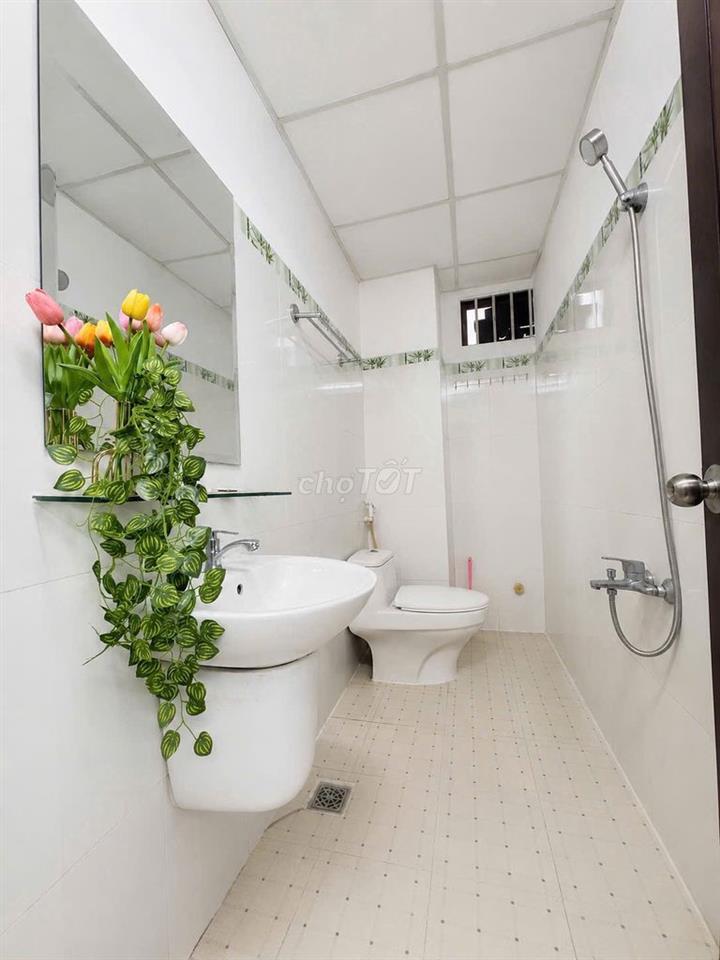 Phòng Studio - Cửa sổ trời