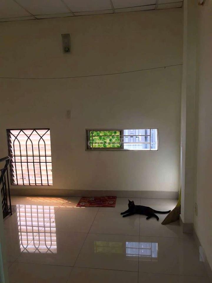 cho thuê trọ