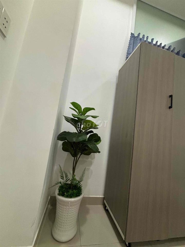 TÌM 1-2 BẠN NỮ Ở GHÉP