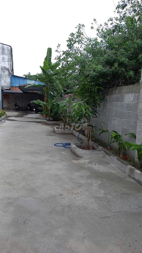 Căn hộ mini 3.3triệu tuyệt đẹp 30m2:16/32 Tam Đông12, Thới Tam Thôn,HM
