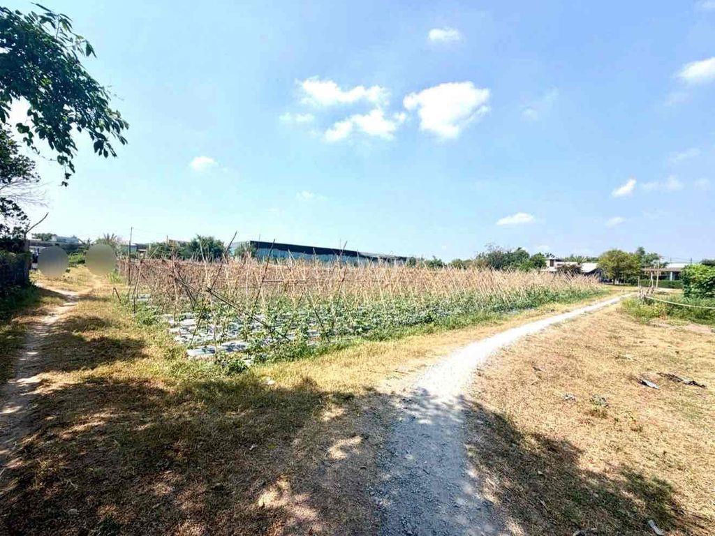 đất Khu Dân Cư . gần KCN Vĩnh Lộc . Tân Bình  Chín Chủ