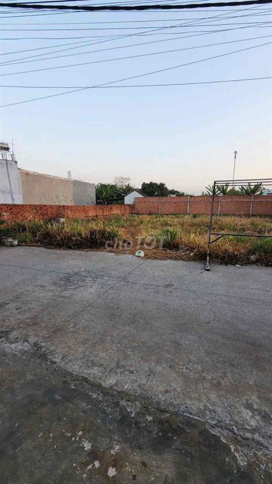‼️Bà Điểm DT 5m X 31m sổ riêng Xây Dựng Tự  Do