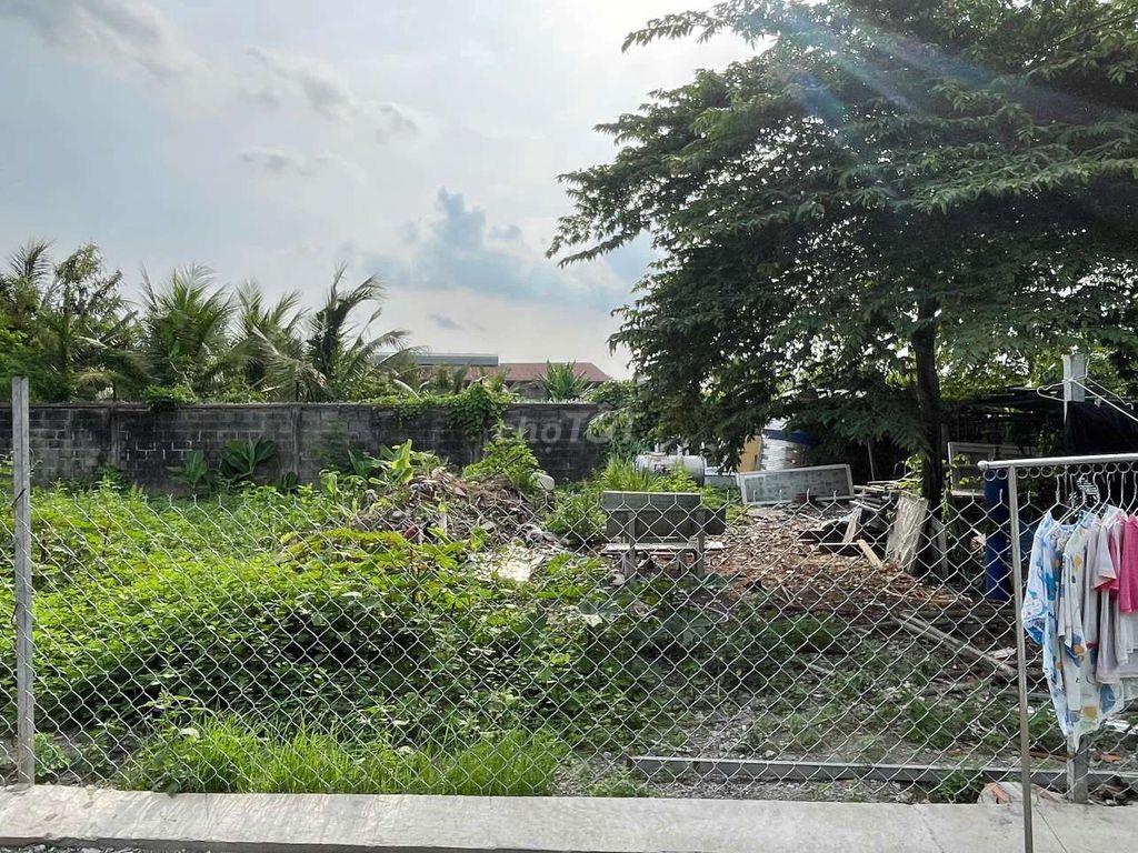 Bán Gấp Lô Đất 6x15m, Shr MT Đg Nhựa 7m 1/70m Phan Văn Hớn, Bà Điểm