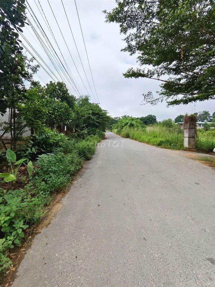 Chính chủ cân bán đất mặt tiền chợ bến lớn