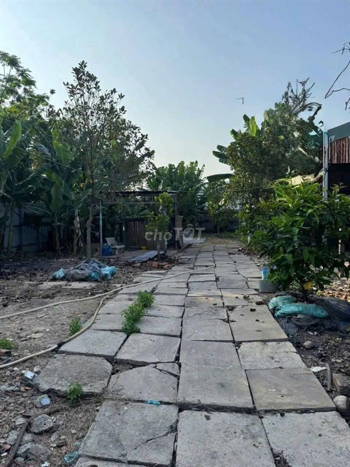 đất đẹp sạch