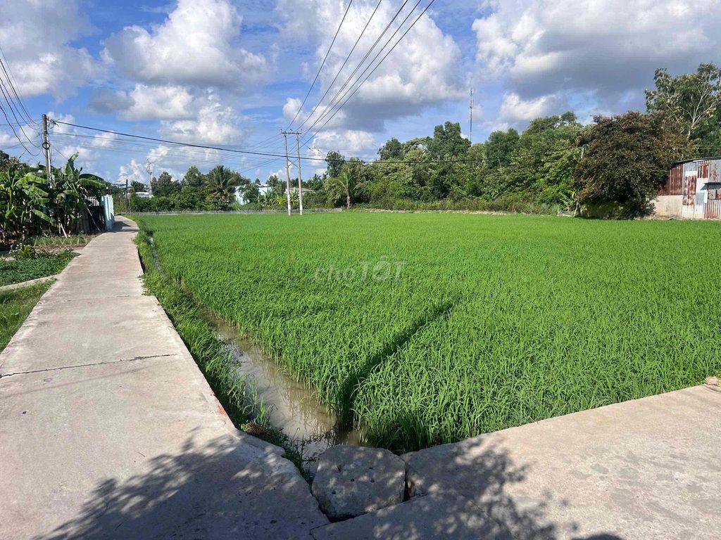 Ban lô đất 3500m2 thổ cư phù hợp phân lô ( 25-29lô)