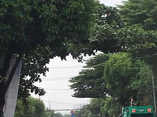 Nhà Mặt Tiền đường Lê Văn Khương SHR 2026