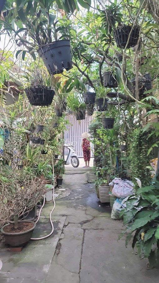 🚨 180M² full thổ cư – ngang 8.1M - nở hậu - CHƯA ĐẾN 30TR/M² 🚨