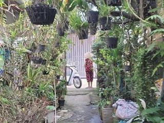 🚨 180M² full thổ cư – ngang 8.1M - nở hậu - CHƯA ĐẾN 30TR/M² 🚨