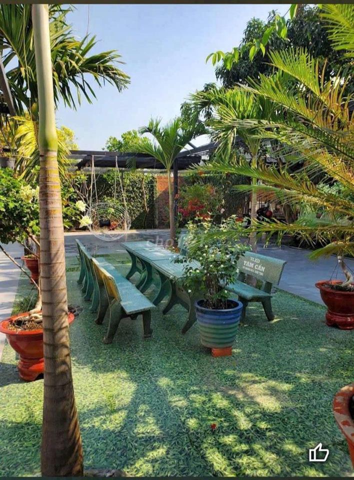 🏘️ Nhà sân vườn fun nội thất, Ng Thị Ngâu,gần Trịnh Thị Miếng, TTT 🏘️