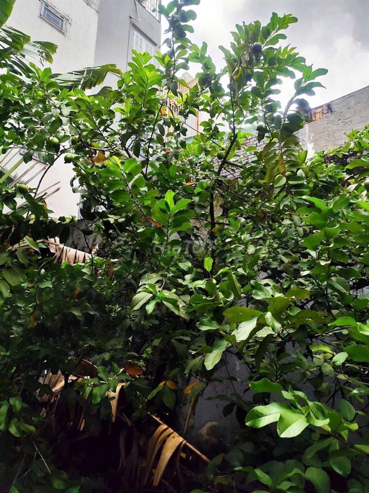NHÀ MẶT TIỀN 5M x 33M HUỲNH THỊ HAI,P.TCH Q12