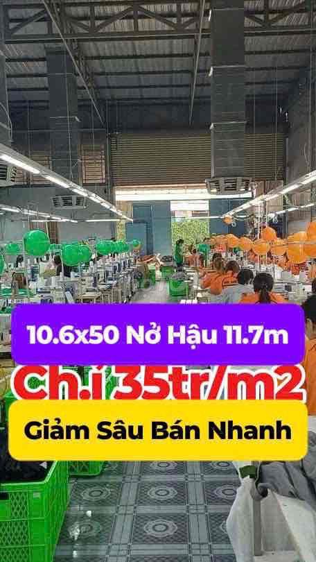 MẶT TIỀN ĐÔNG THẠNH 3 - XÃ ĐÔNG THẠNH - HOCMON