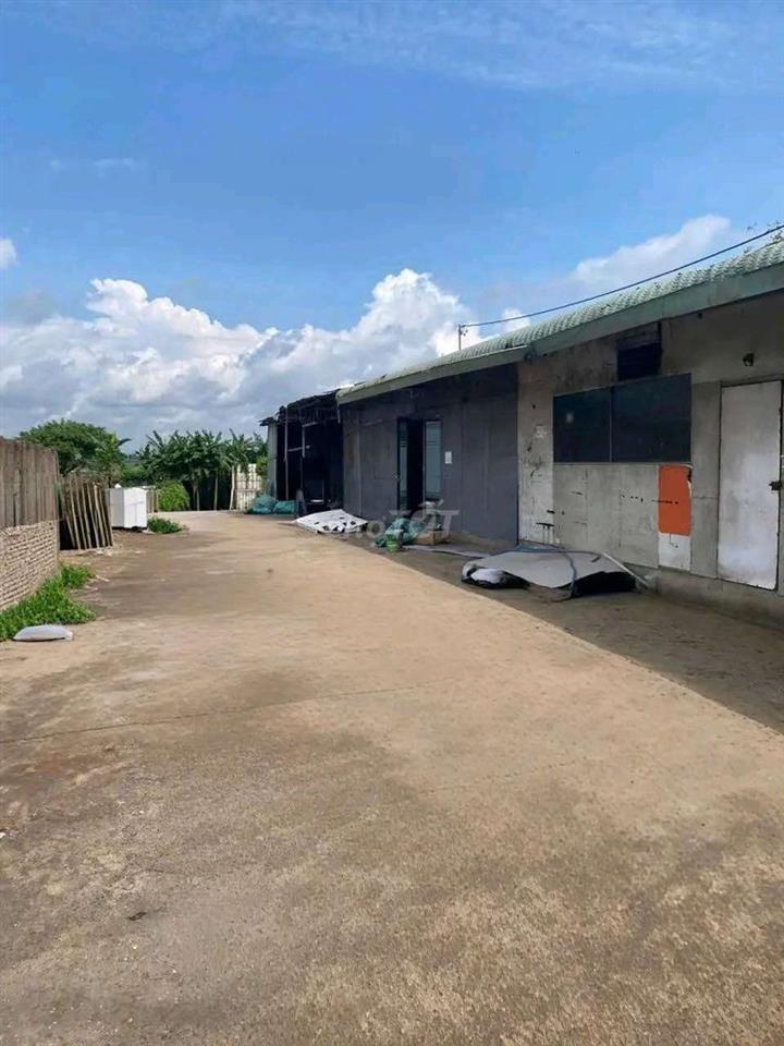 CHO THUÊ XƯỞNG 2000M = 49 TRIÊU