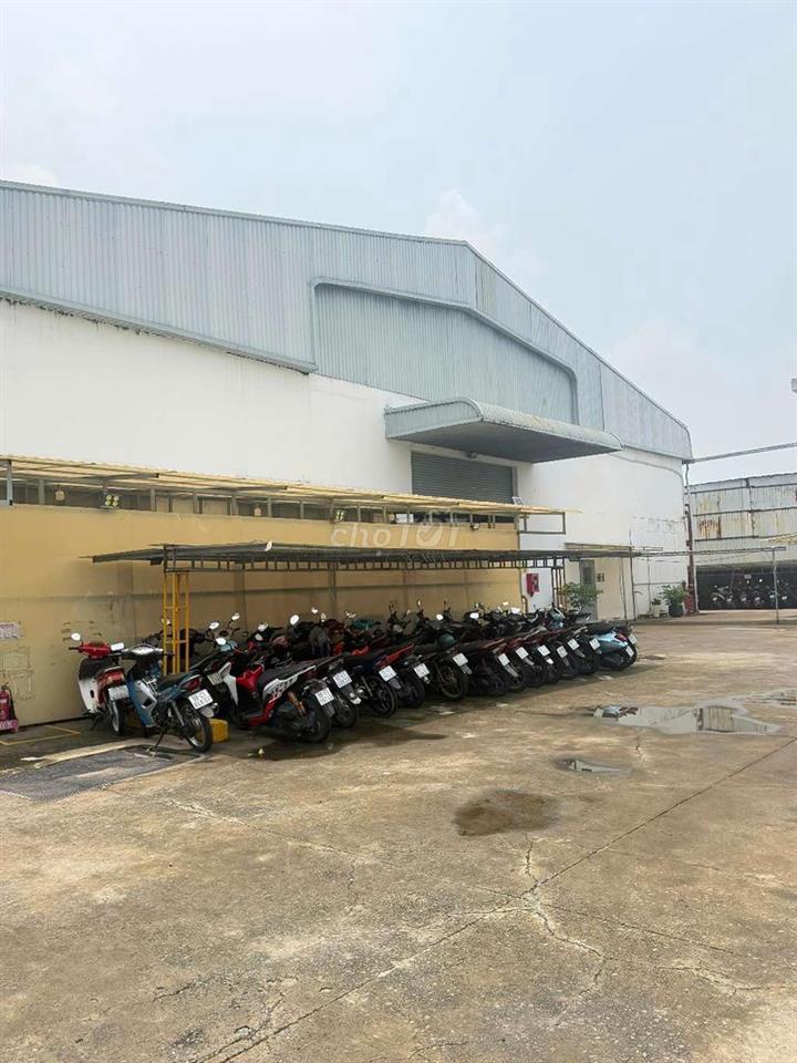 CHO THUÊ XƯỞNG 5000M = 290 TRIỆU