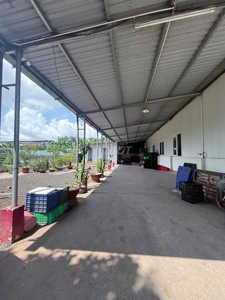 CHO THUÊ NHÀ XƯỞNG MỚI – SẠCH ĐẸP – PHÙ HỢP THỰC PHẨM, NÔNG SẢN, KHO H