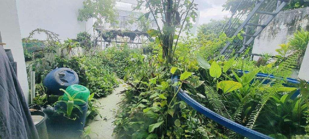 🏠Bán nhà ,Đường Huỳnh Văn bánh ,P 13 PN ,Ngang 4M' 64M2, Giá: 8.8Tỷ