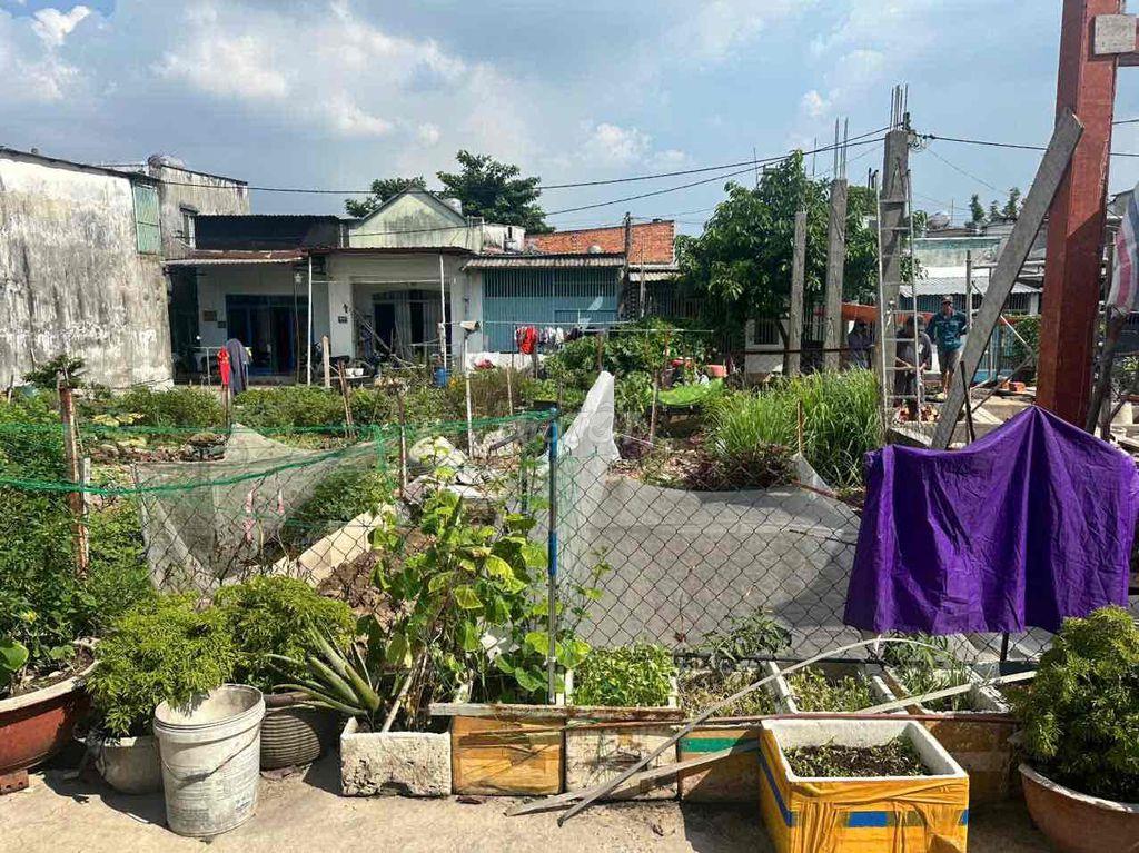 Bán đất Hóc Môn