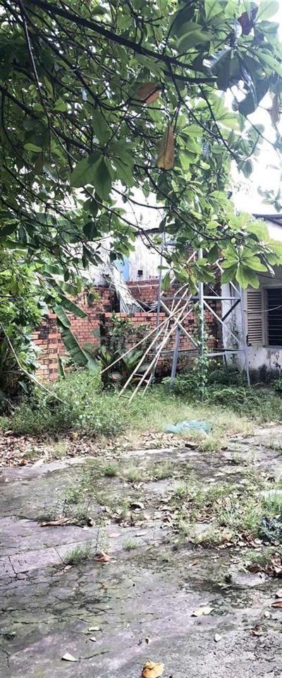 Cần Bán Gầp Đầt Mặt Tiền Đường .Nguyễn Văn Quá .DT 13 x50 nở hậu 40m