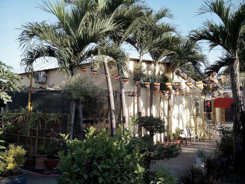 ĐẤT MỘ PHẦN NGHĨA TRANG CHÙA BÁO QUỐC HÓC MÔN