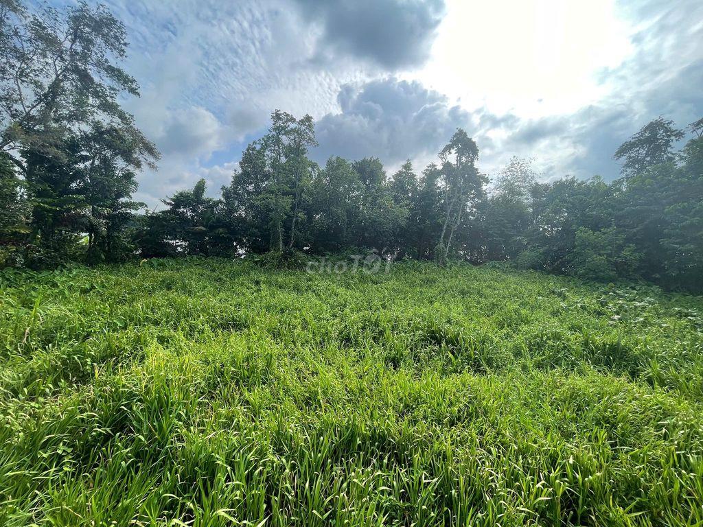 BÁN ĐẤT VIEW SÔNG SÀI GÒN