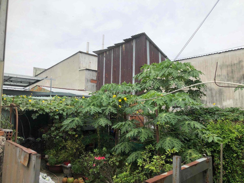 gia đình cần bán  đất