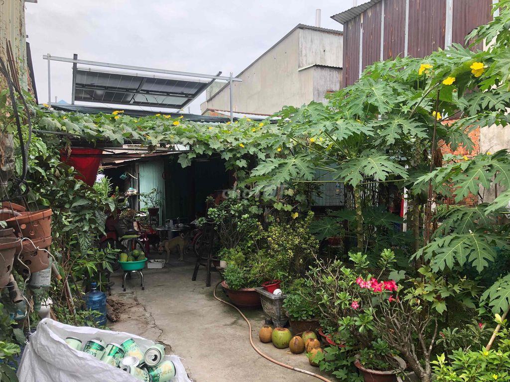 gia đình cần bán  đất