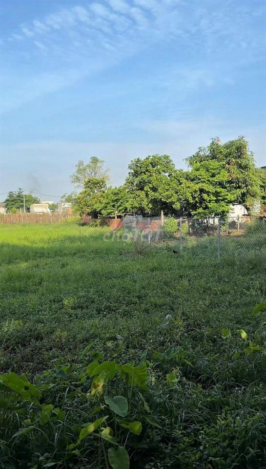 BÁN LÔ ĐẤT NHÀ VƯỜN SIÊU KHỔNG LỒ 1.740M2 BÀ ĐIỂM 4
