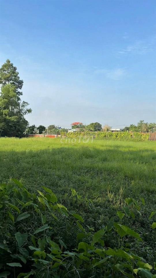 BÁN LÔ ĐẤT NHÀ VƯỜN SIÊU KHỔNG LỒ 1.740M2 BÀ ĐIỂM 4