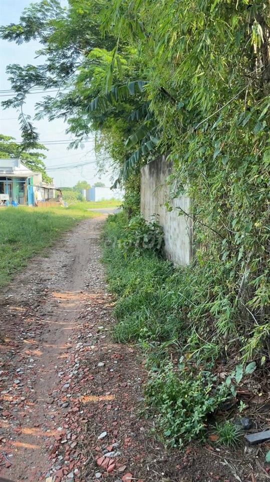 BÁN LÔ ĐẤT NHÀ VƯỜN SIÊU KHỔNG LỒ 1.740M2 BÀ ĐIỂM 4